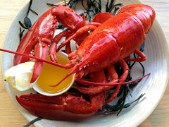 crayfish food.jpg